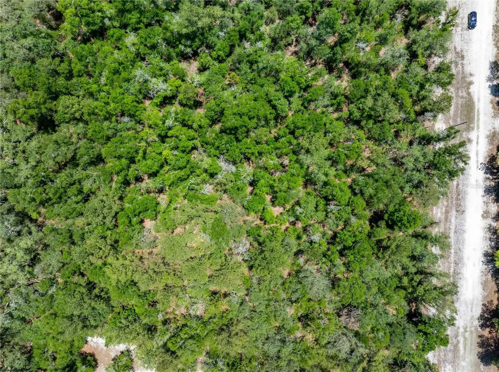 Lot 46 SW Roanoke Terrace Fort White FL 32038