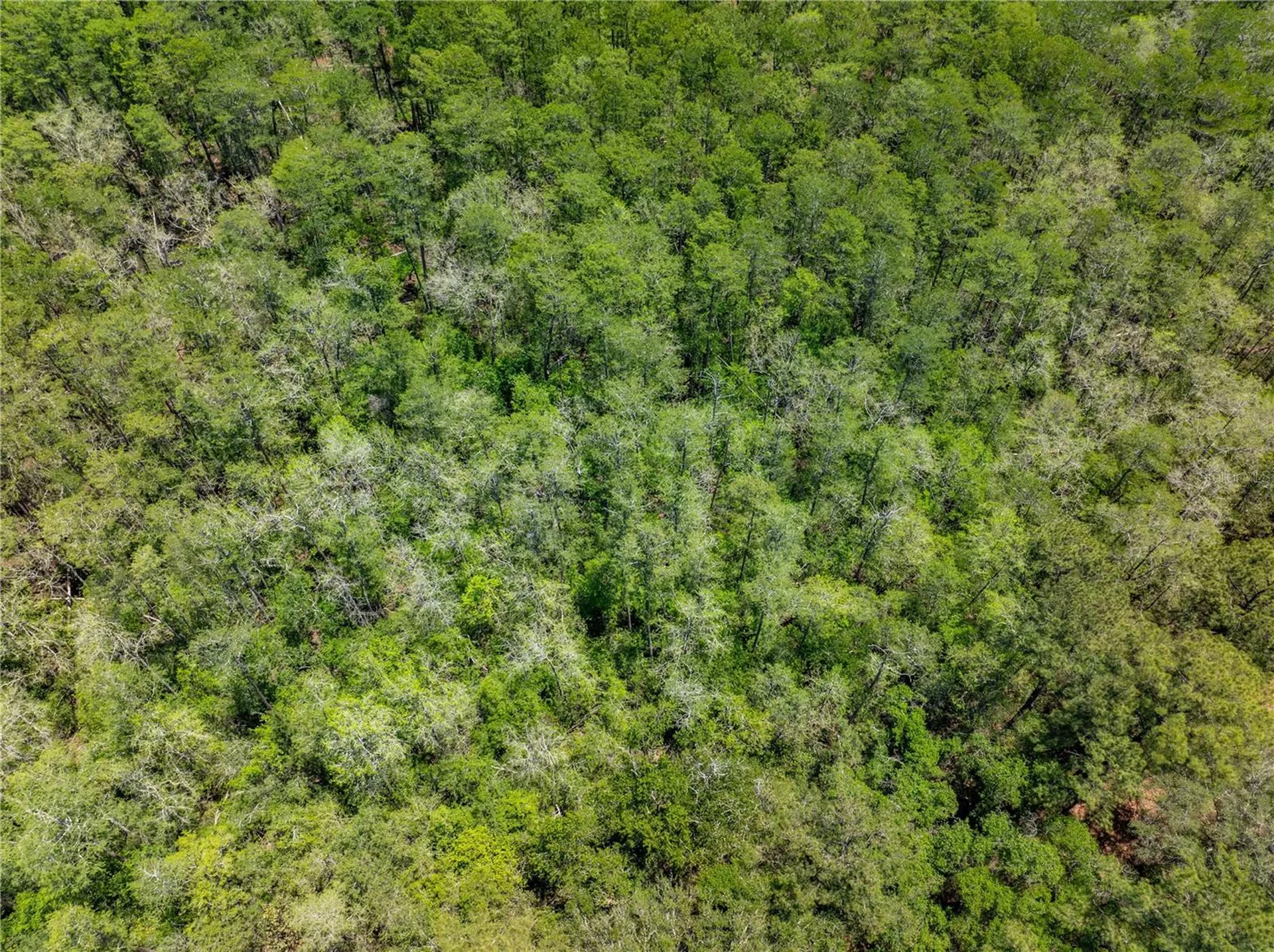 Lot 46 SW Roanoke Terrace Fort White FL 32038