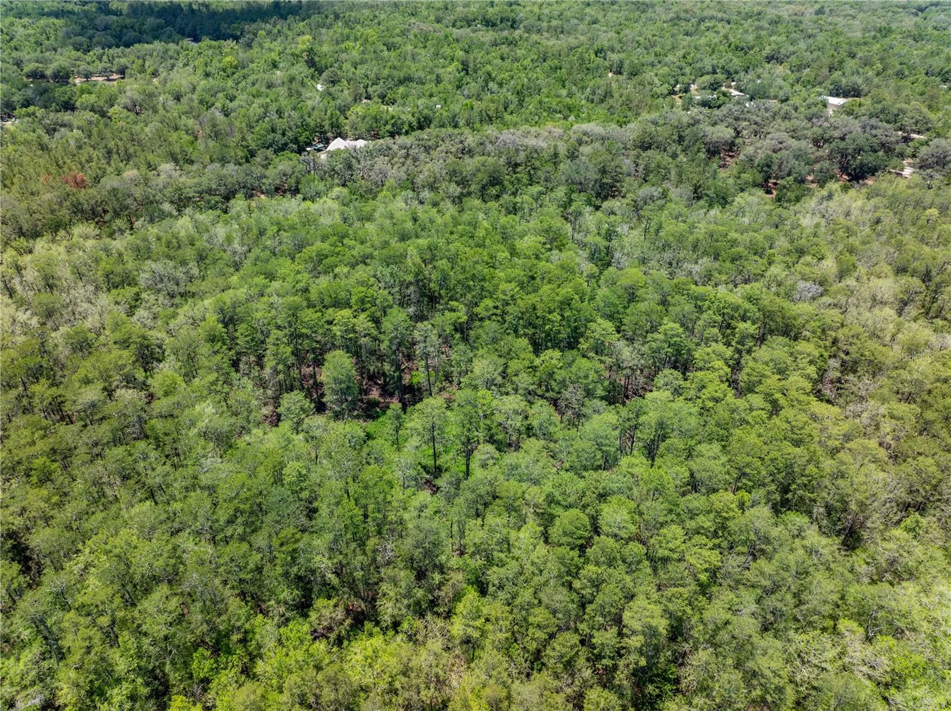 Lot 46 SW Roanoke Terrace Fort White FL 32038