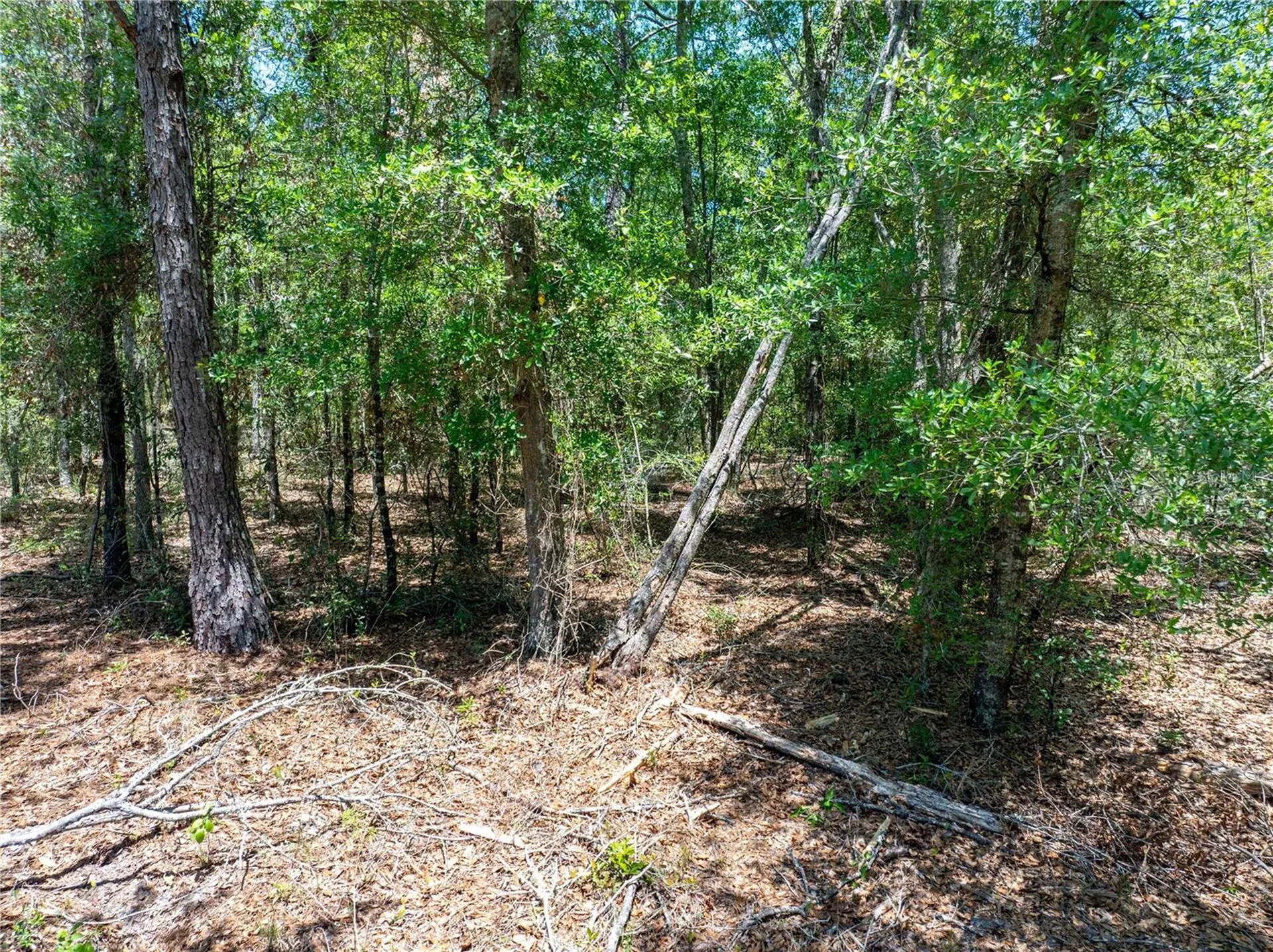 Lot 46 SW Roanoke Terrace Fort White FL 32038