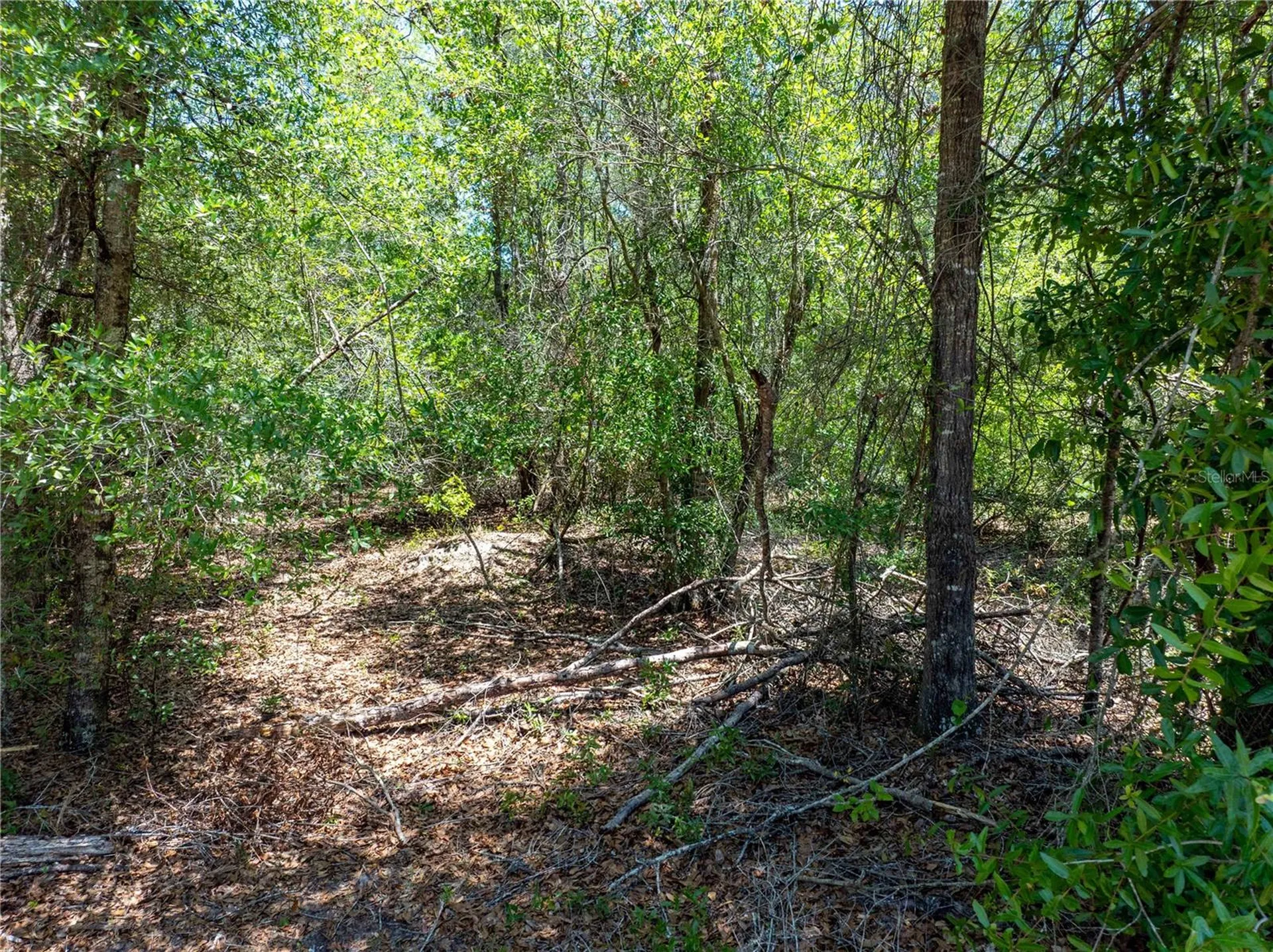 Lot 46 SW Roanoke Terrace Fort White FL 32038