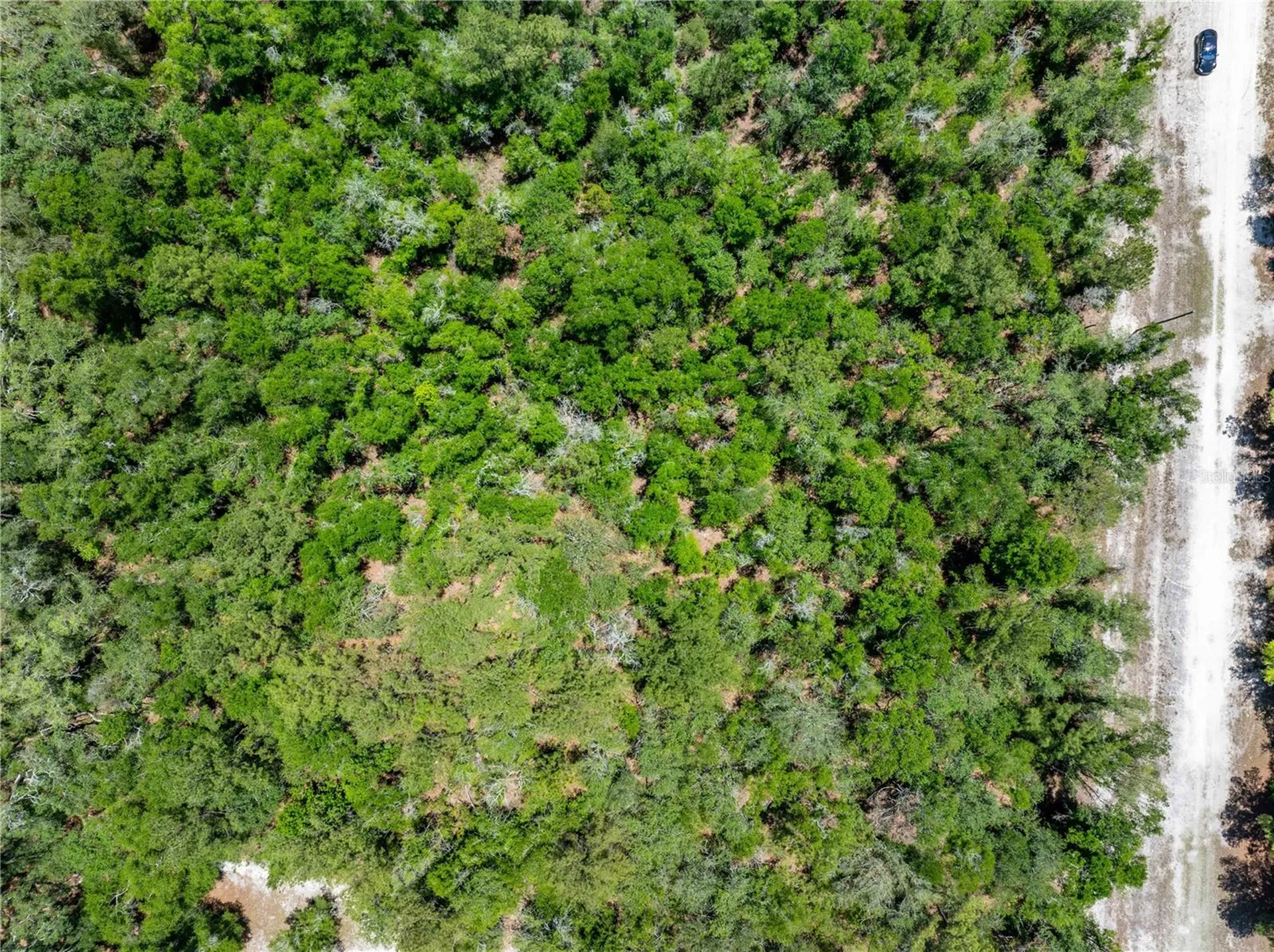 Lot 46 SW Roanoke Terrace Fort White FL 32038