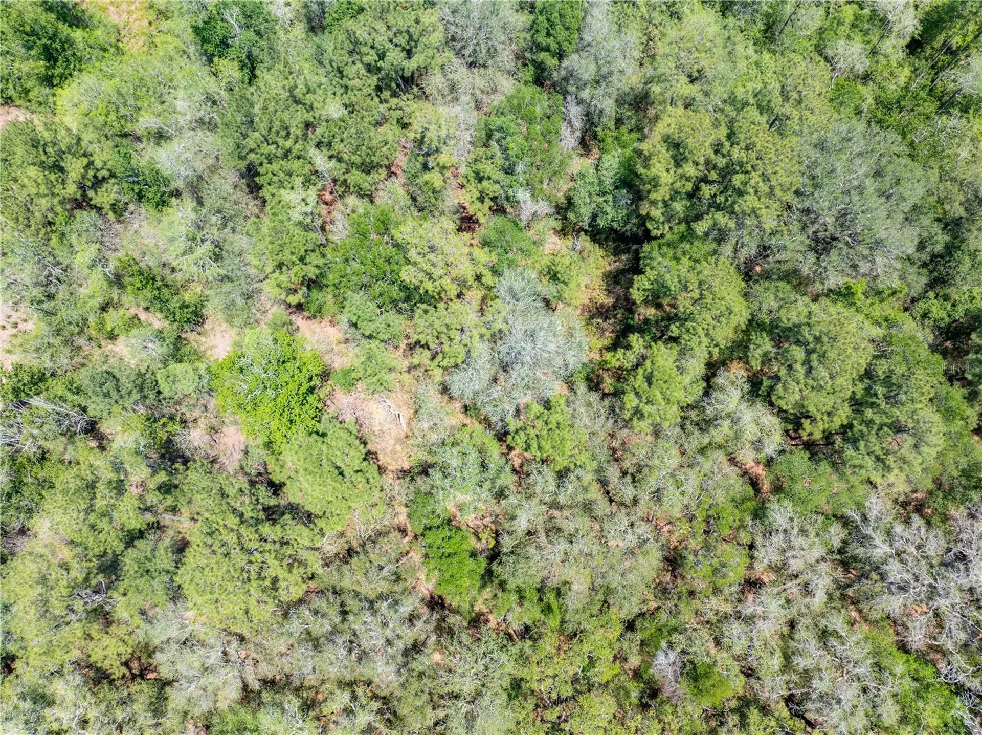 Lot 46 SW Roanoke Terrace Fort White FL 32038