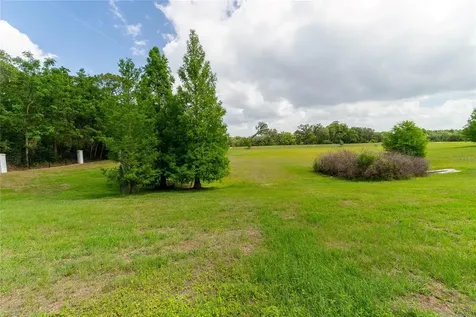 849 Panical Drive Apopka FL 32703