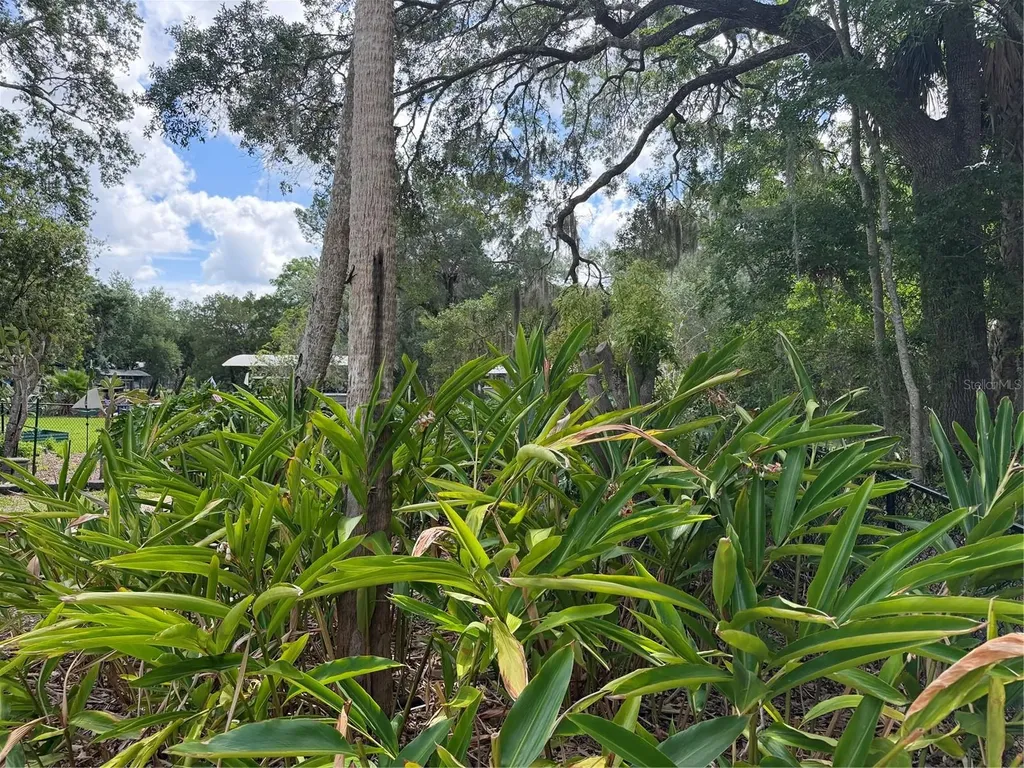 11878 W Riverhaven Drive Homosassa FL 34448