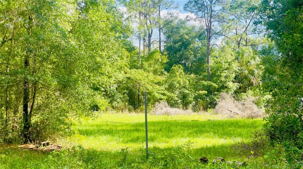Lot 1 NE 66th Lane Bronson FL 32621