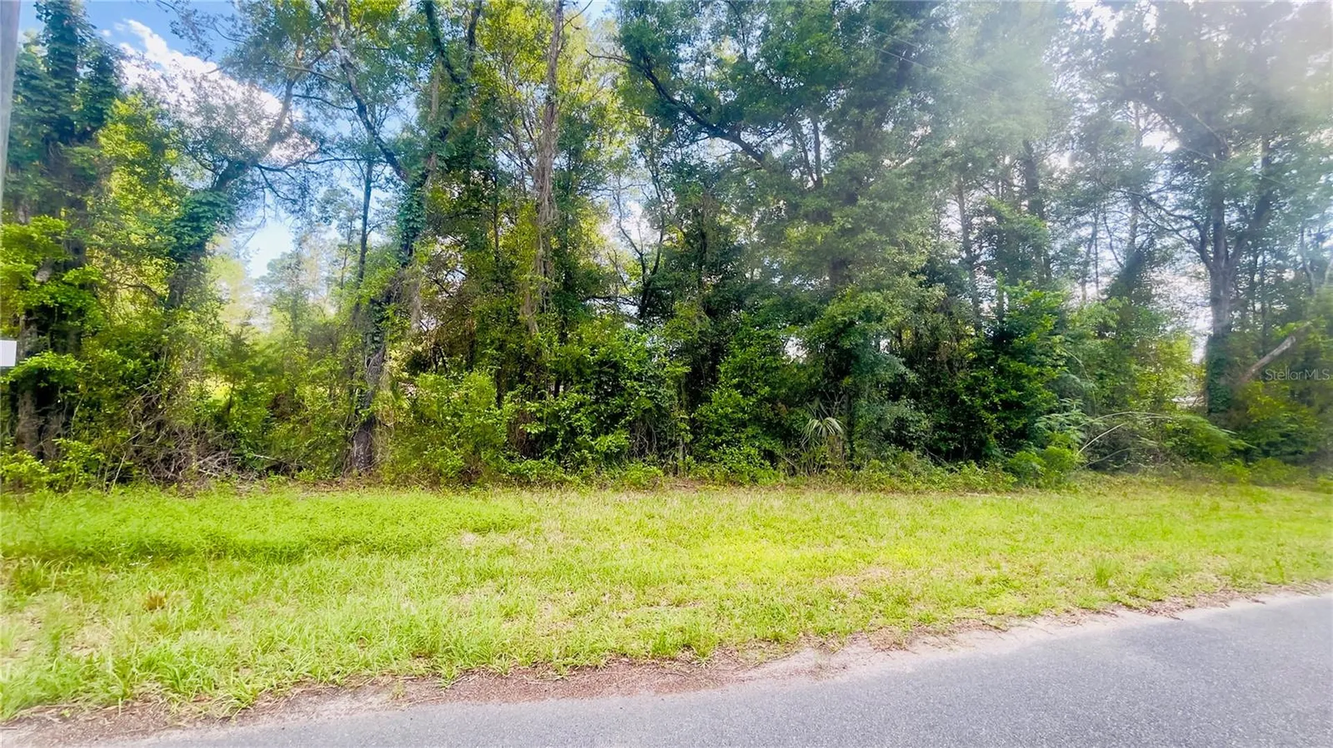Lot 1 NE 66th Lane Bronson FL 32621