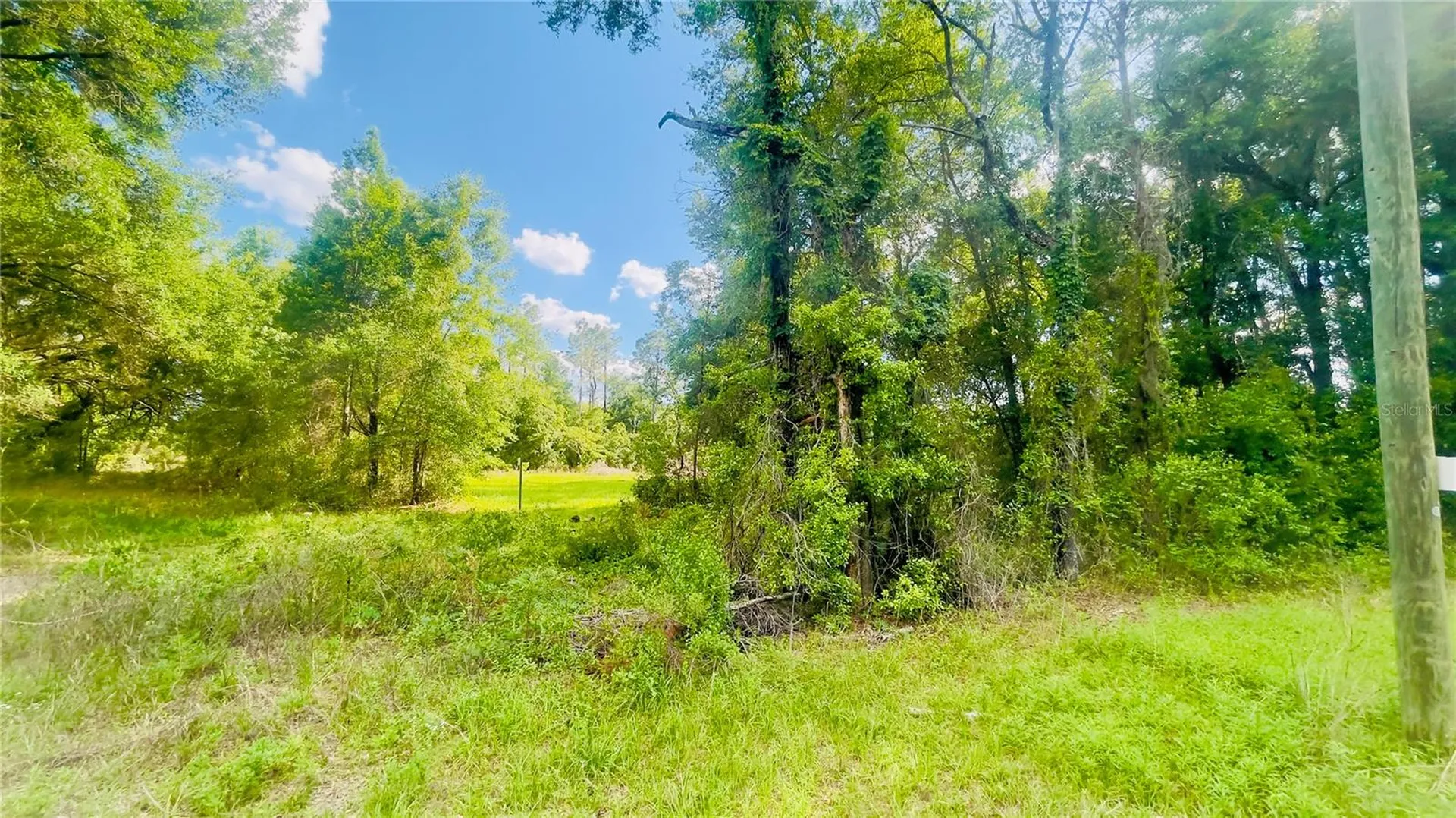 Lot 1 NE 66th Lane Bronson FL 32621