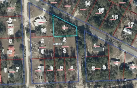 Lot 1 NE 66th Lane Bronson FL 32621