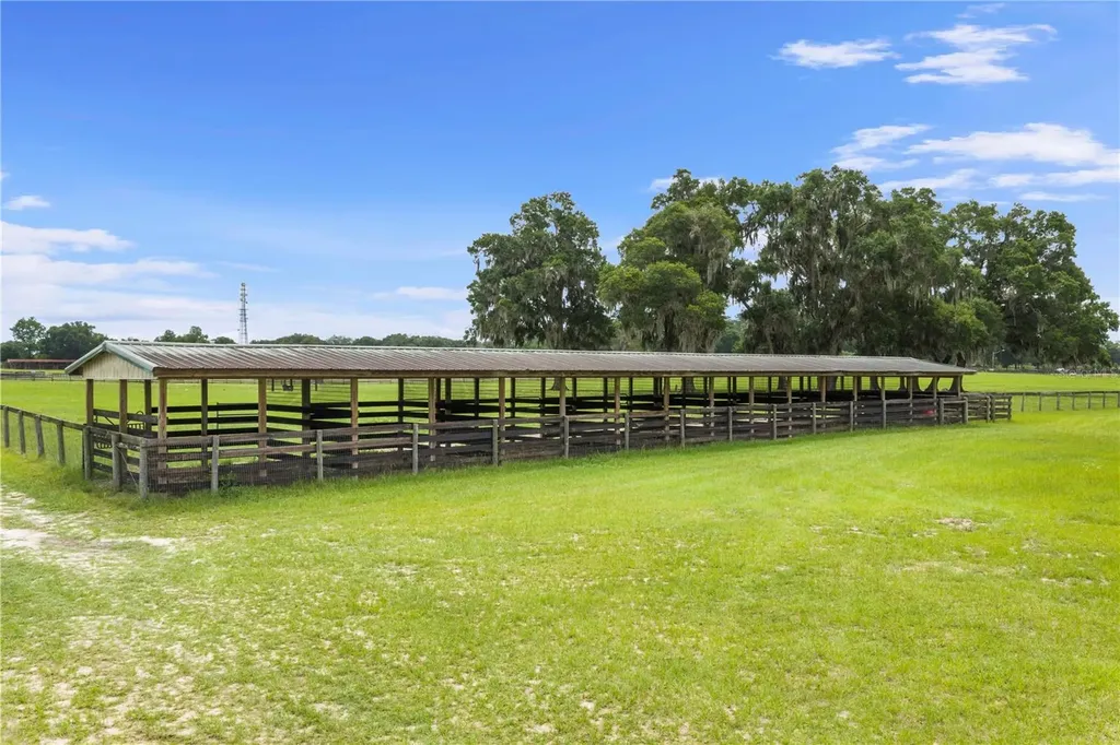 1345 NE 155 Place Citra FL 32113