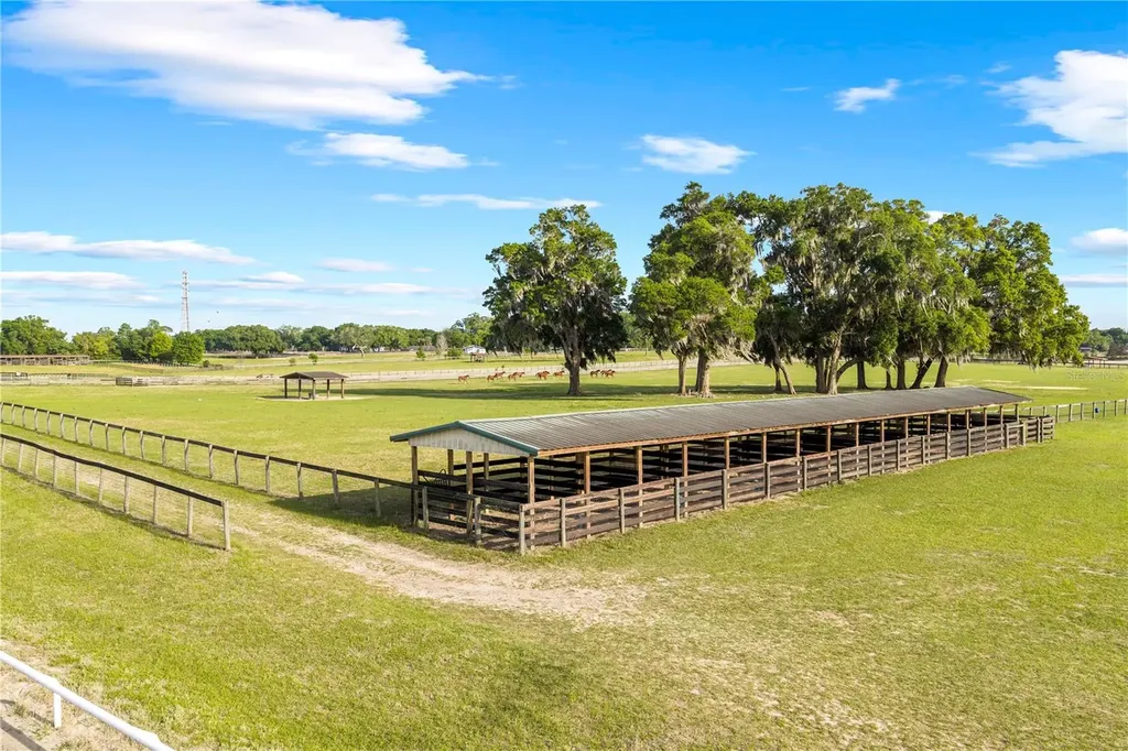 1345 NE 155 Place Citra FL 32113