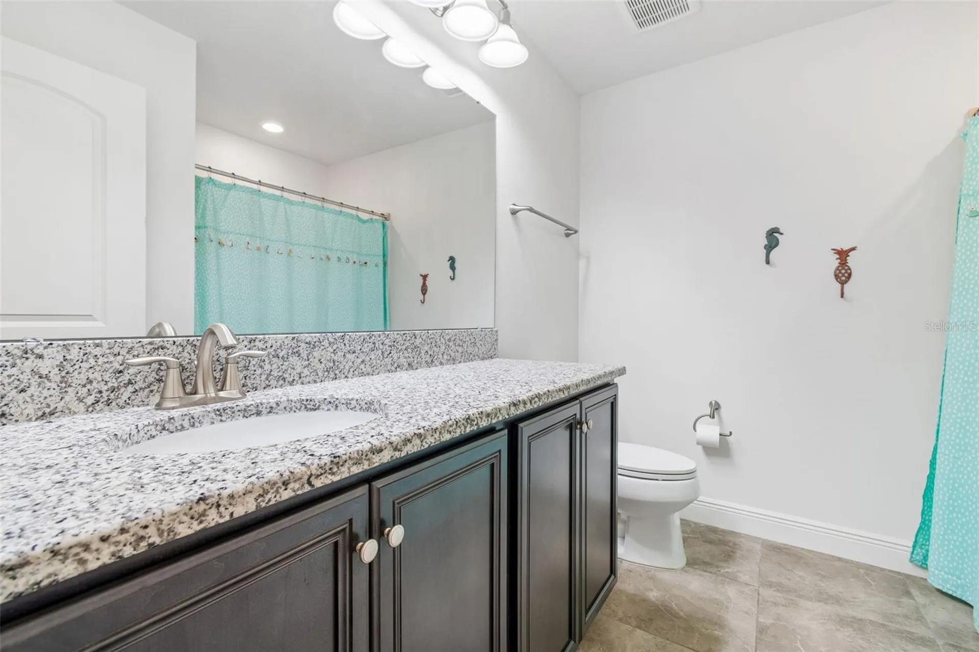 11523 Luckygem Drive Riverview FL 33579