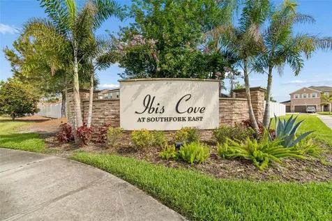 11523 Luckygem Drive Riverview FL 33579