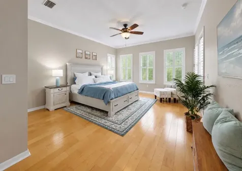 5228 Brighton Shore Drive Apollo Beach FL 33572