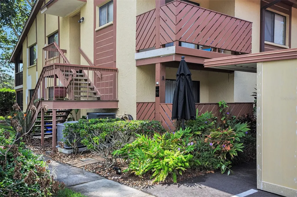 600 Summerhill Court Safety Harbor FL 34695