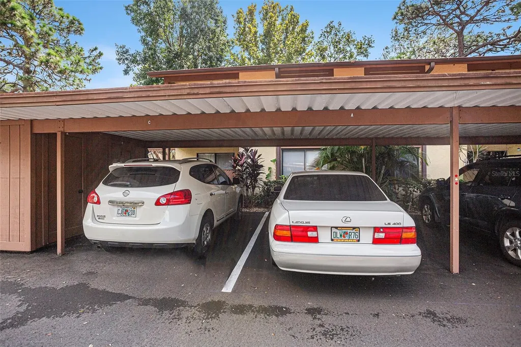 600 Summerhill Court Safety Harbor FL 34695