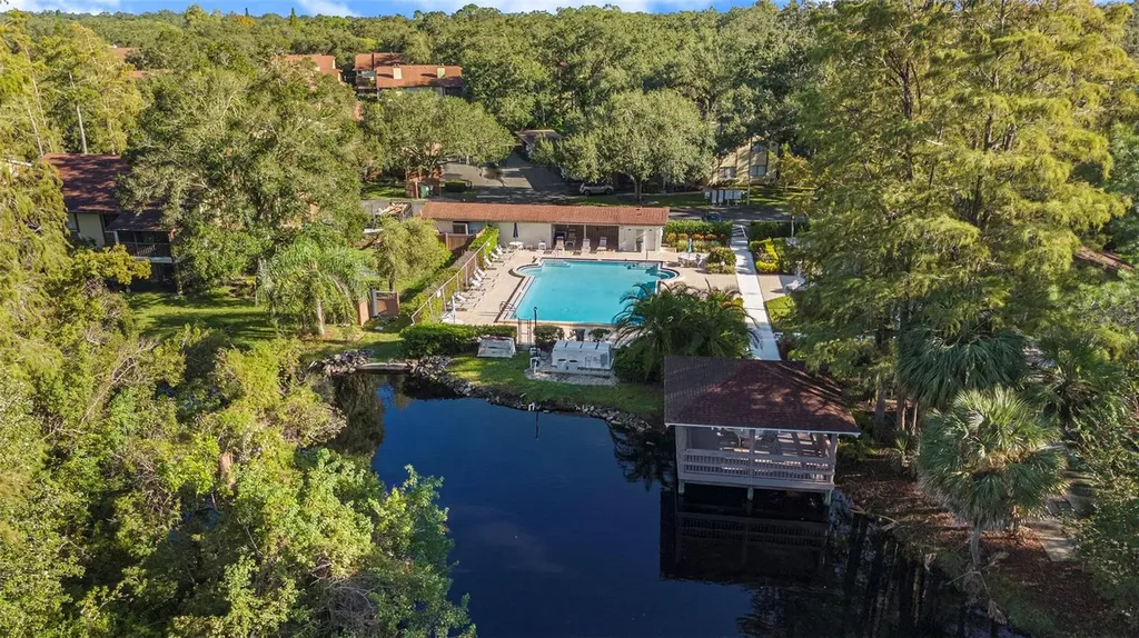600 Summerhill Court Safety Harbor FL 34695