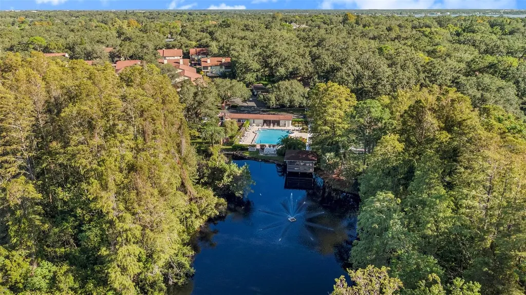 600 Summerhill Court Safety Harbor FL 34695