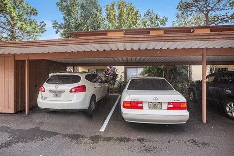 600 Summerhill Court Safety Harbor FL 34695