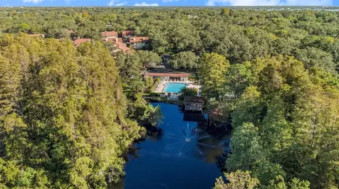 600 Summerhill Court Safety Harbor FL 34695