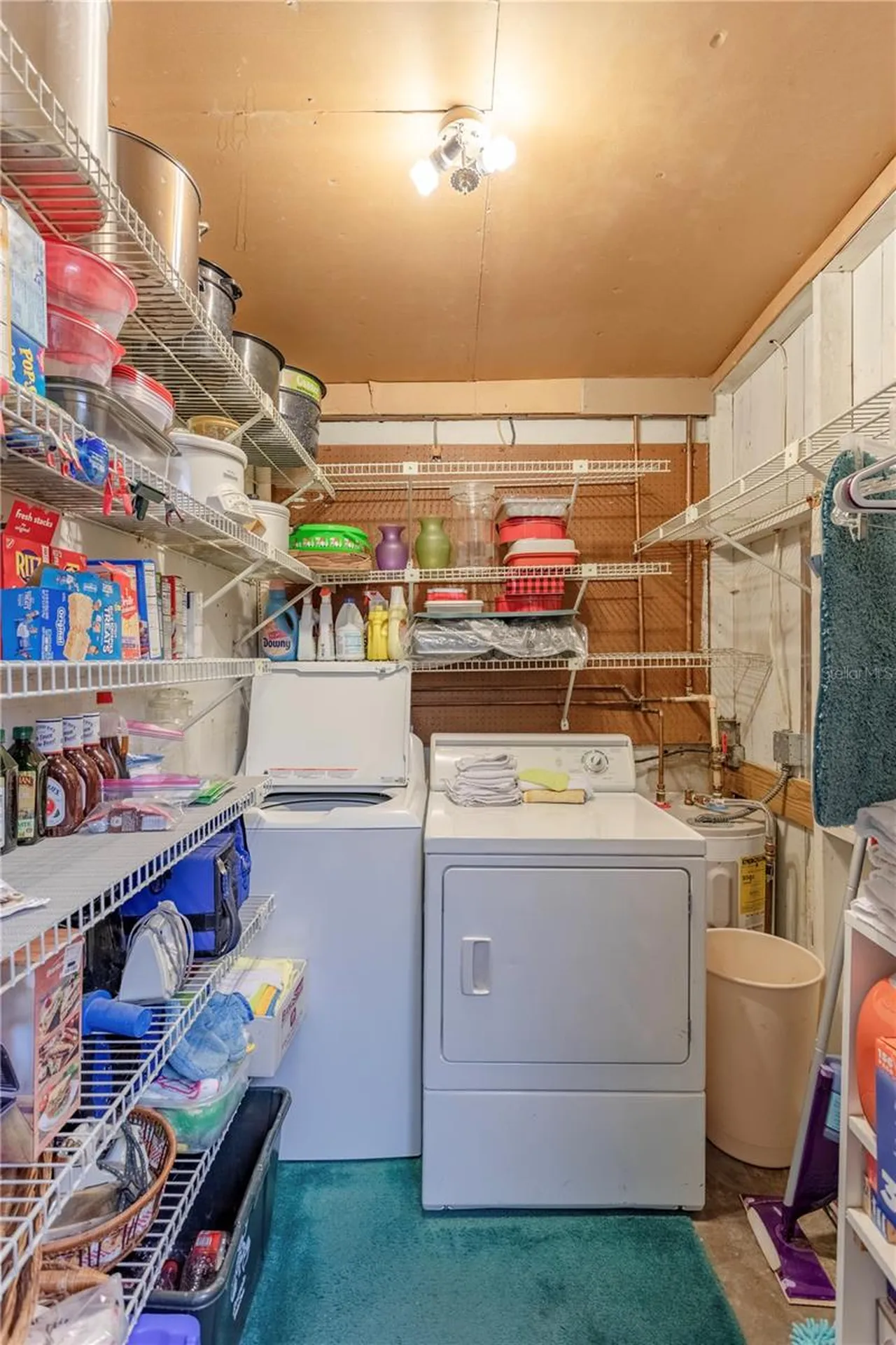 1310 Roscomare Avenue Orlando FL 32806