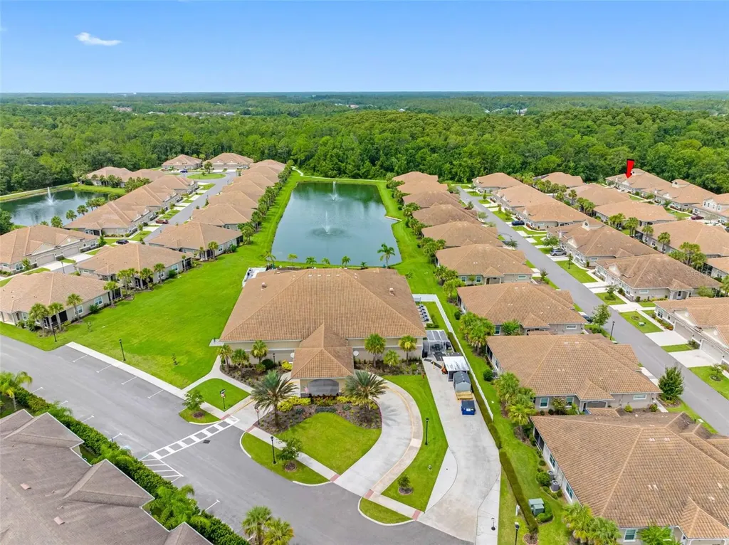 29817 Ganga Way Wesley Chapel FL 33543