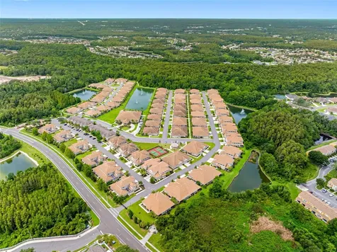 29817 Ganga Way Wesley Chapel FL 33543