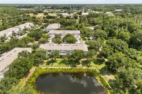 10306 Stone Moss Avenue Tampa FL 33647
