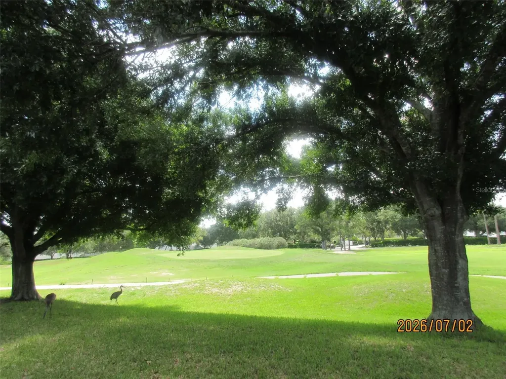 4835 Sable Ridge Court Leesburg FL 34748