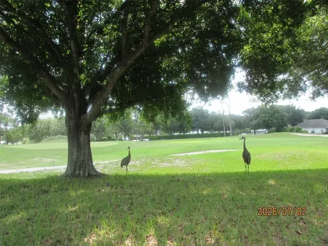 4835 Sable Ridge Court Leesburg FL 34748
