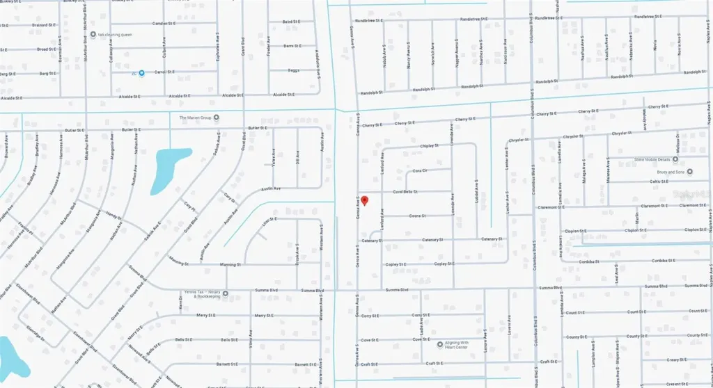 Chimney Swift Road Weeki Wachee FL 34614