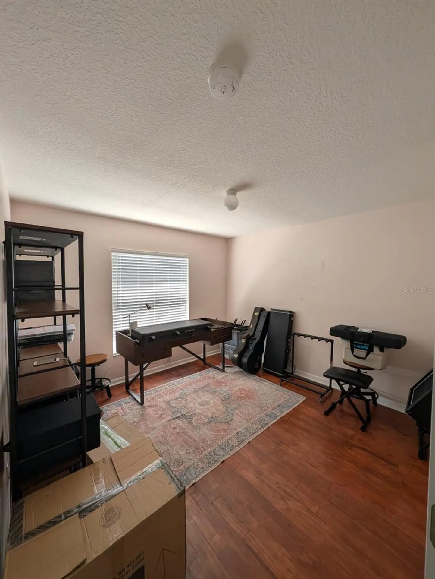 4512 River Overlook Drive Valrico FL 33596