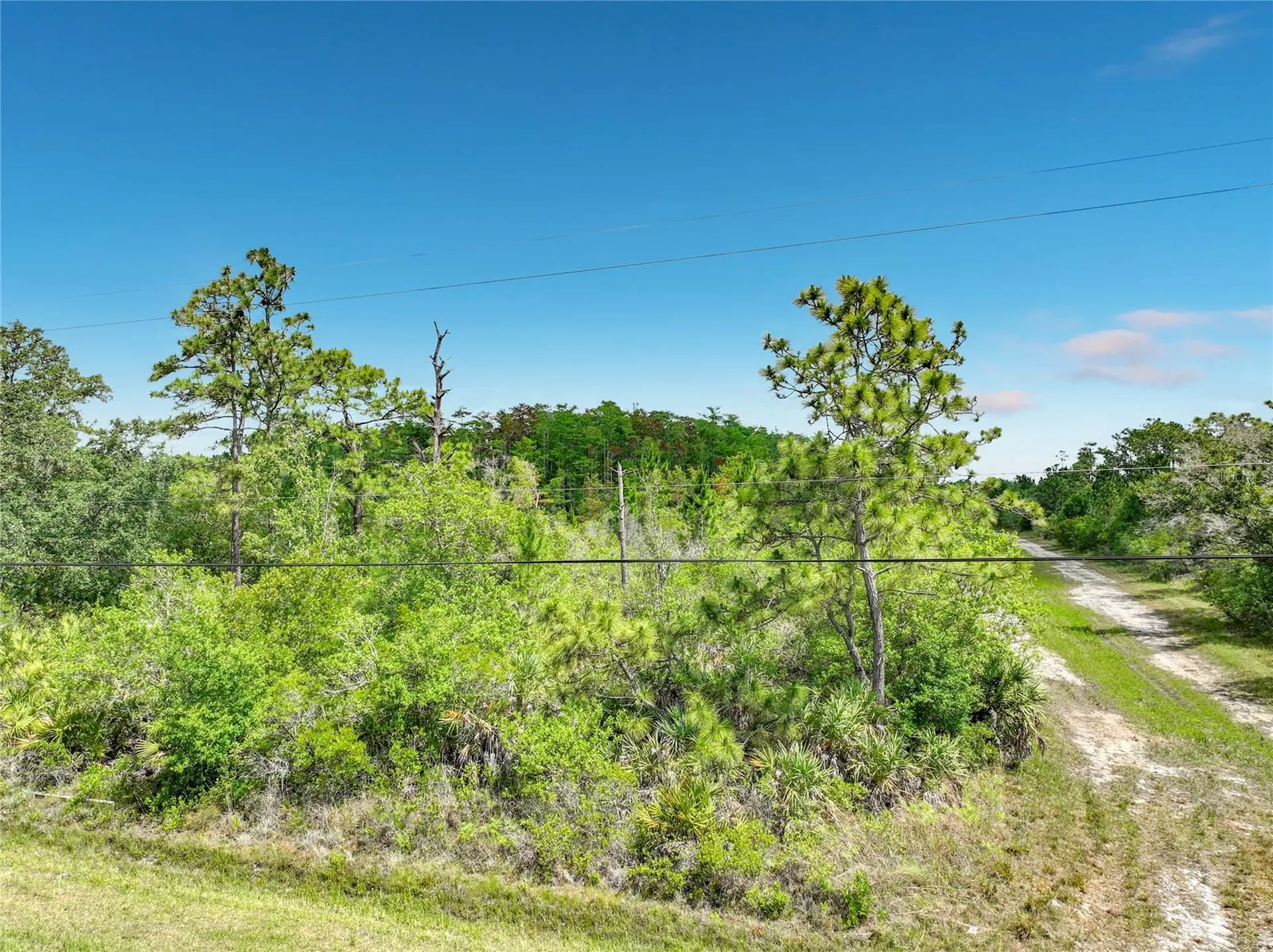00 Paddock Street Orlando FL 32833