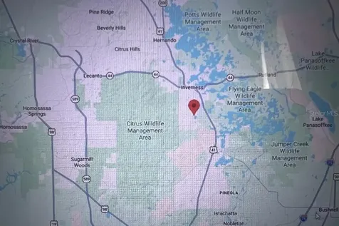6390 E Morley Street Inverness FL 34452