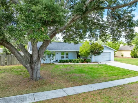 10817 Providence Oaks Drive Riverview FL 33578