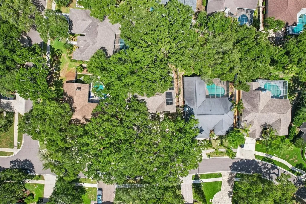 1706 Country Trails Drive Safety Harbor FL 34695