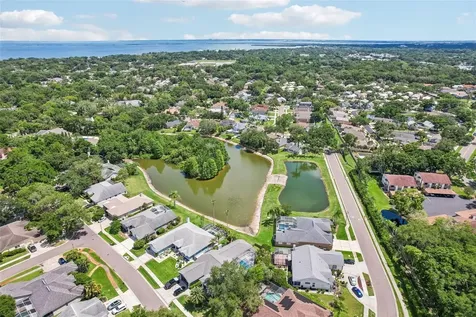 1706 Country Trails Drive Safety Harbor FL 34695
