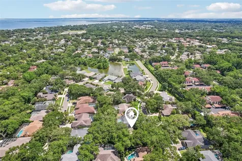 1706 Country Trails Drive Safety Harbor FL 34695