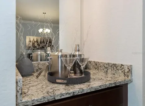 5528 Palmer Circle Lakewood Ranch FL 34211