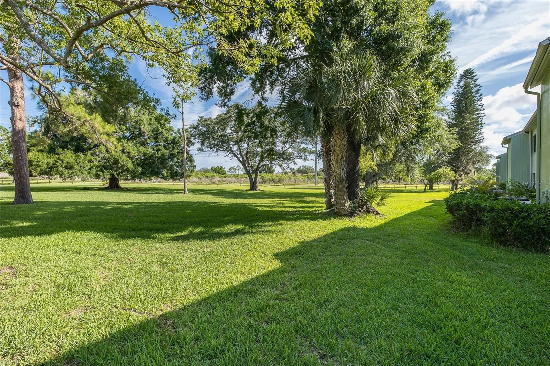 130 Nancy Drive Oldsmar FL 34677