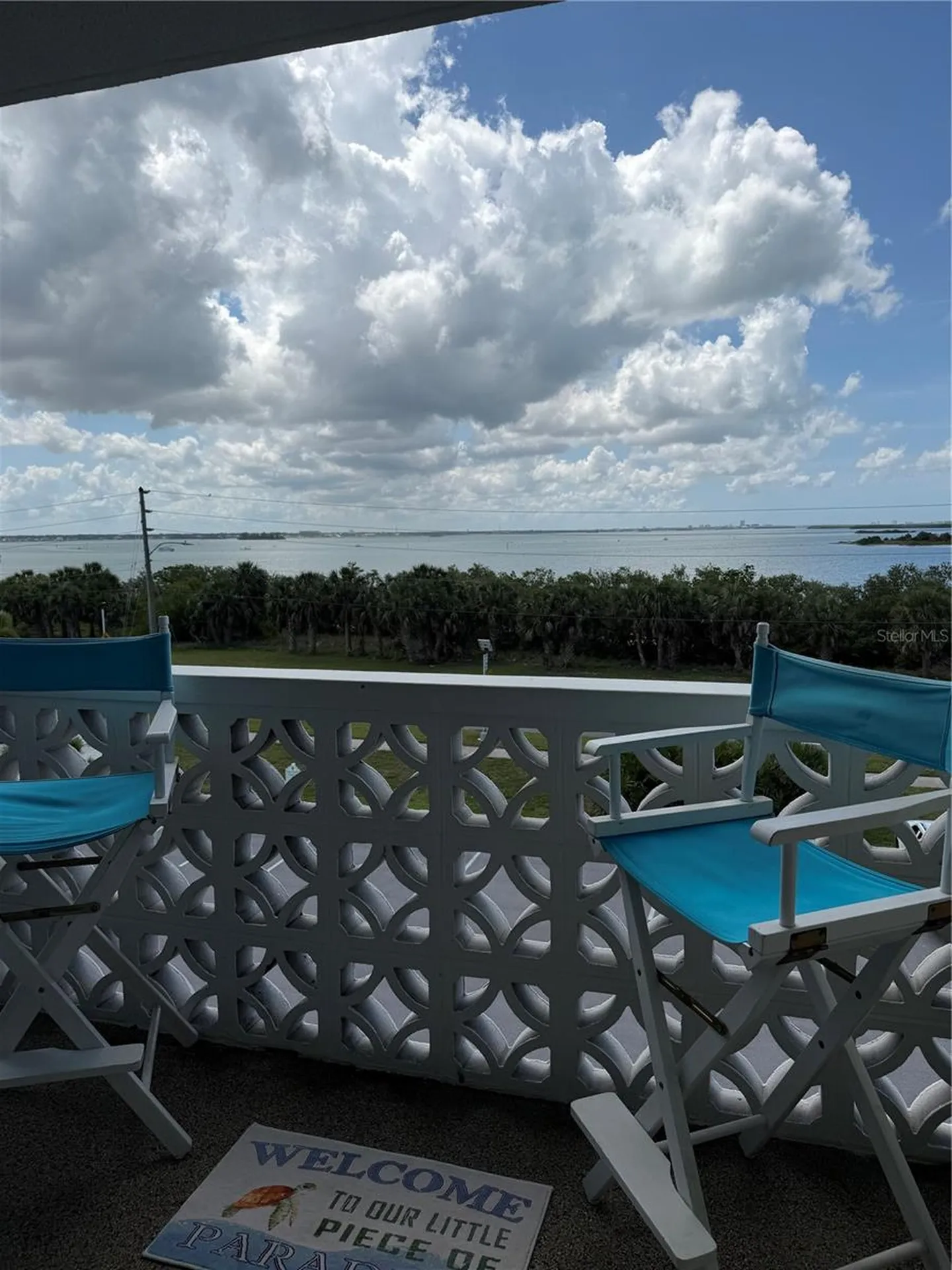 9 Forbes Place Dunedin FL 34698