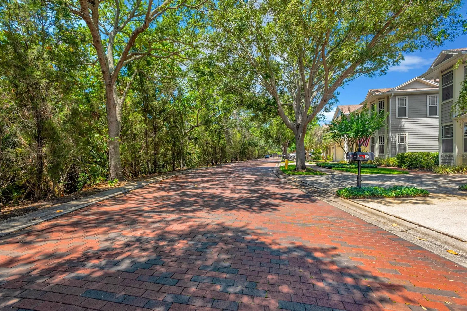 2852 Bayshore Trails Drive Tampa FL 33611