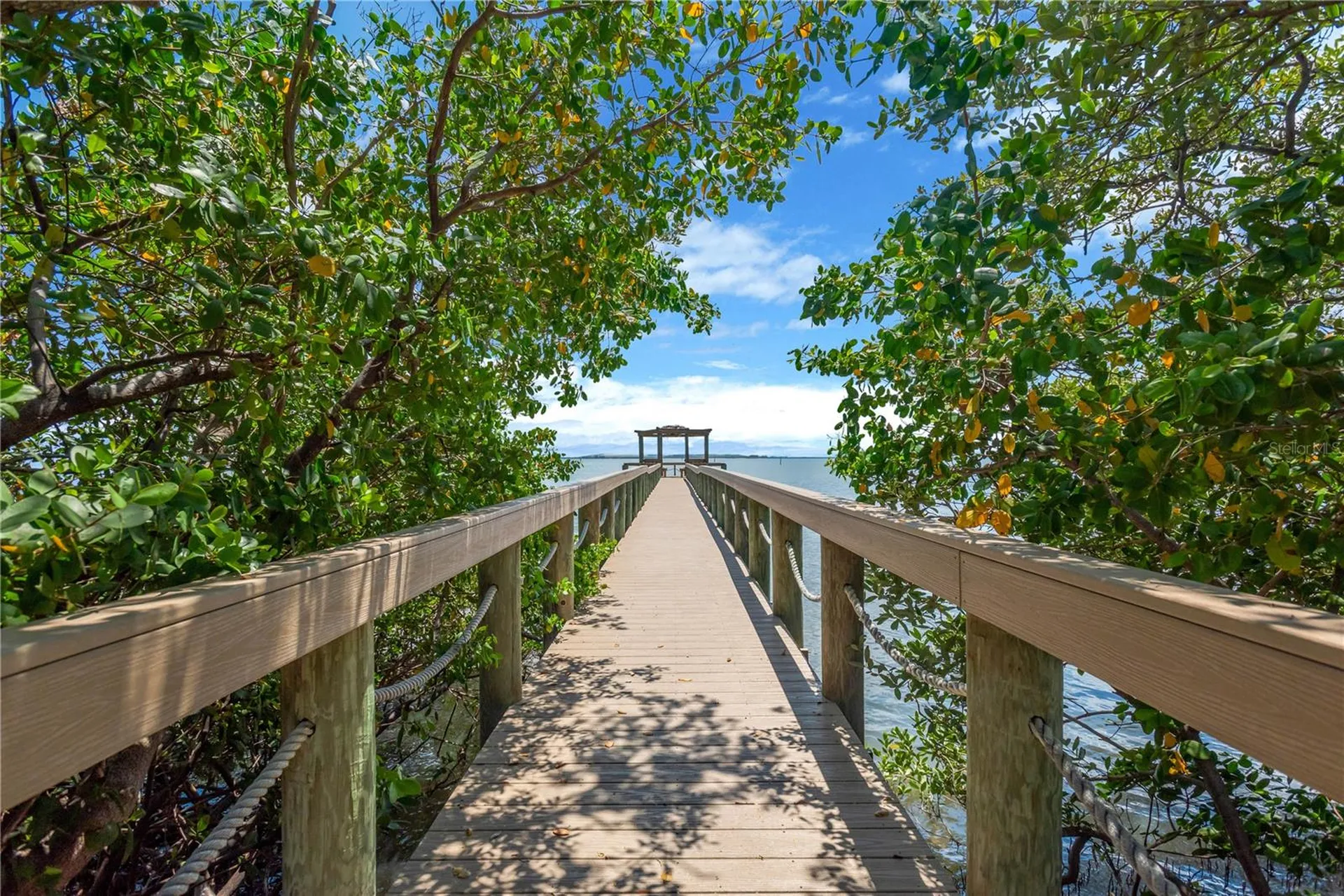 2852 Bayshore Trails Drive Tampa FL 33611