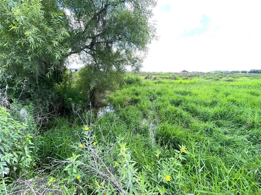 Wauchula Road Myakka City FL 34251