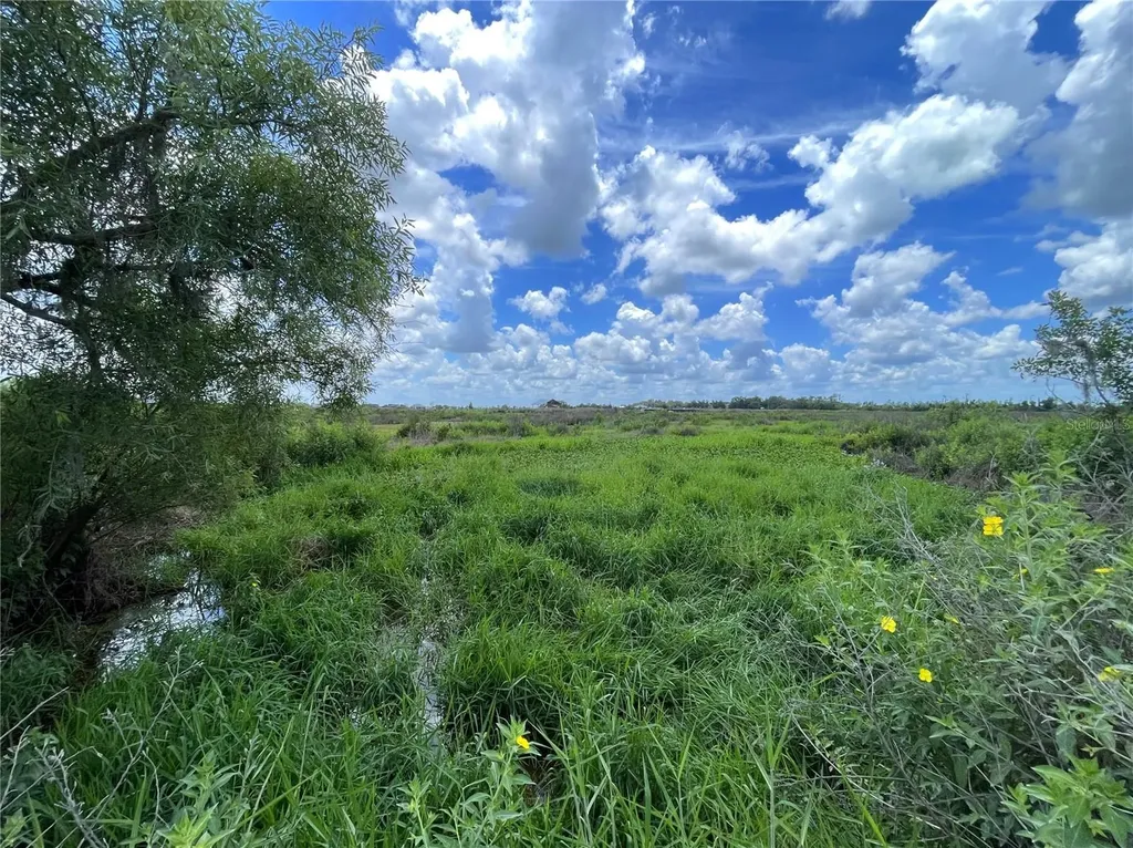 Wauchula Road Myakka City FL 34251
