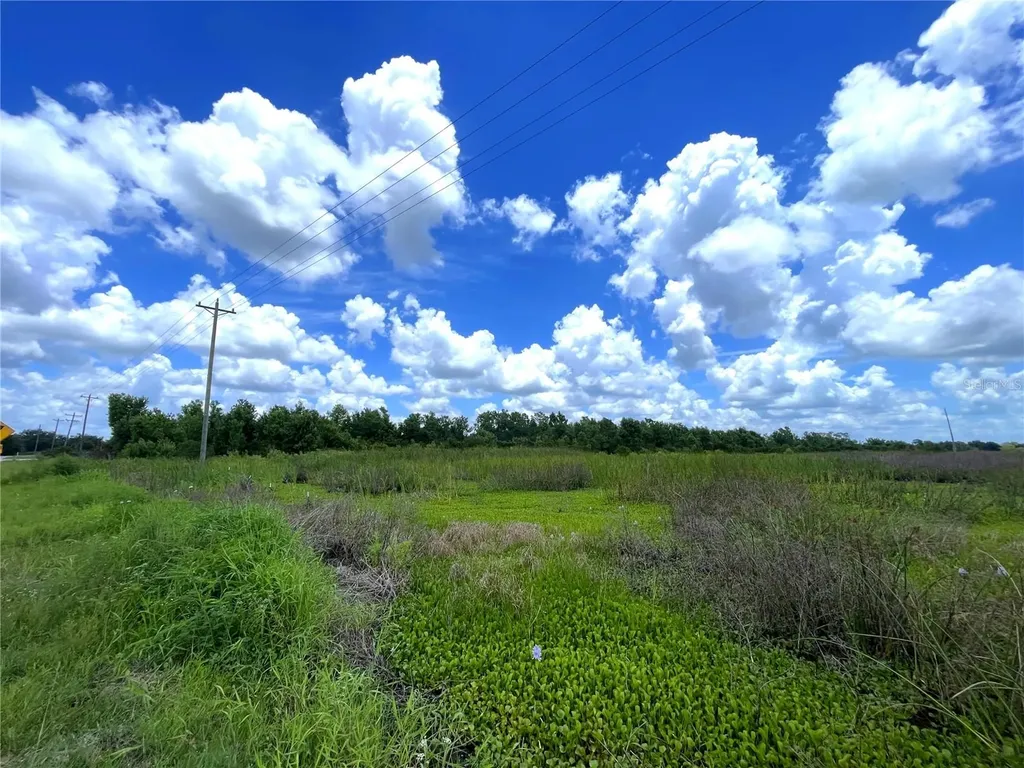 Wauchula Road Myakka City FL 34251