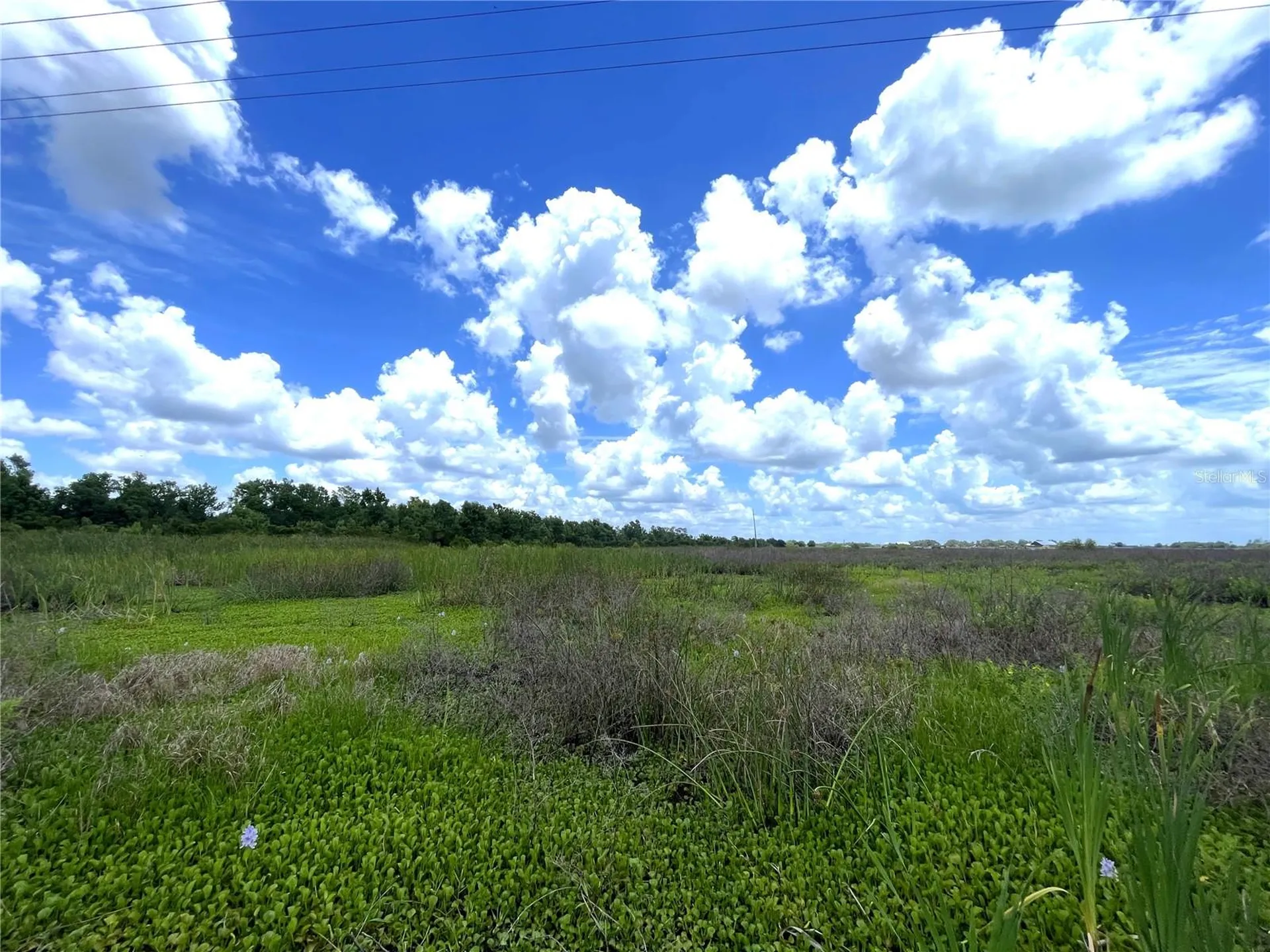 Wauchula Road Myakka City FL 34251