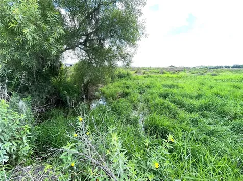 Wauchula Road Myakka City FL 34251