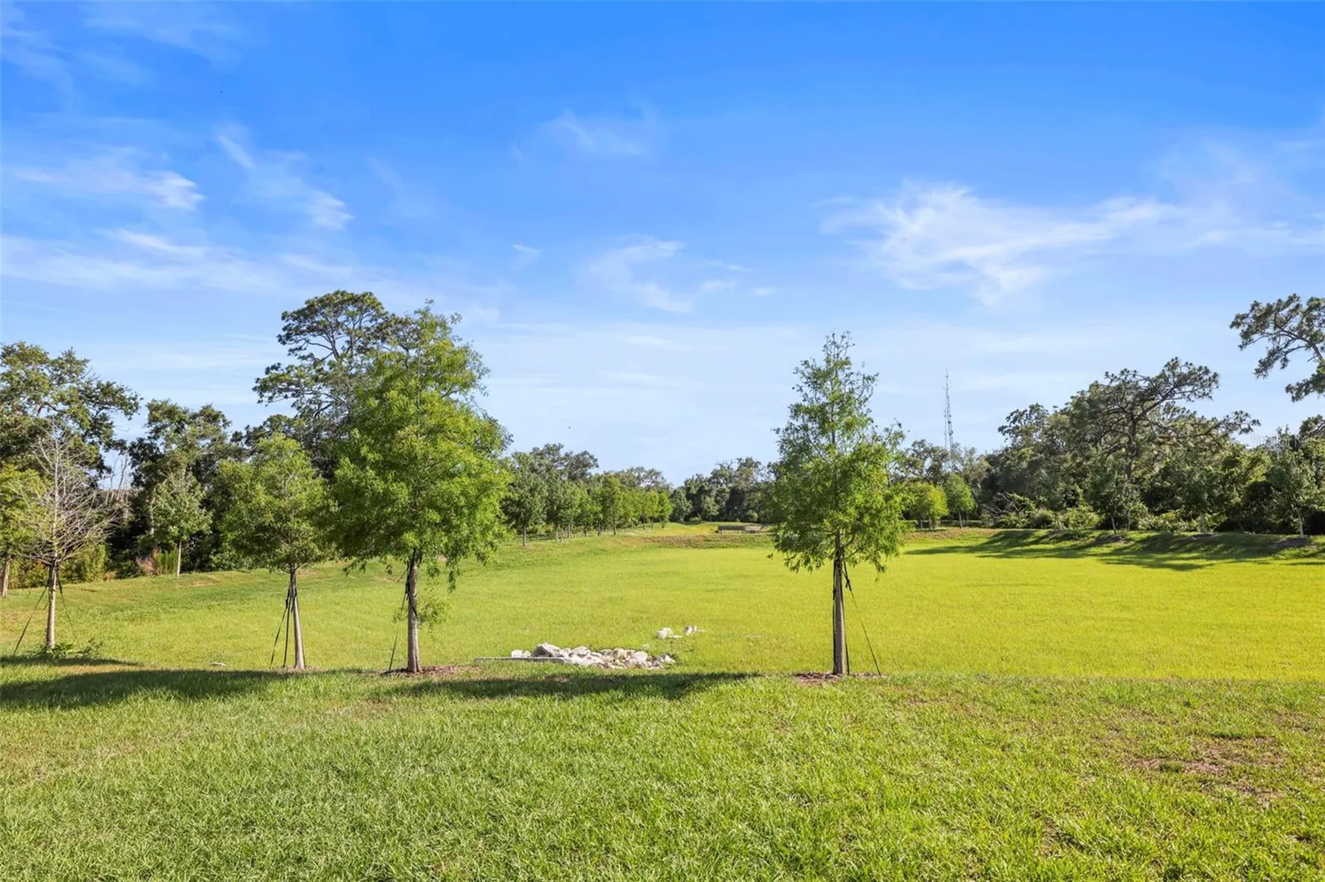 4550 Stargazer Court Palm Harbor FL 34683