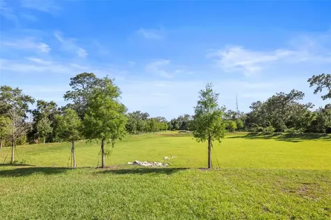 4550 Stargazer Court Palm Harbor FL 34683